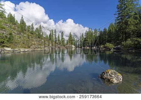 Reflection Of The Shore Of The Lake In The Watery Surface. The Large (lower) Shavlinsky Lake. Altai 