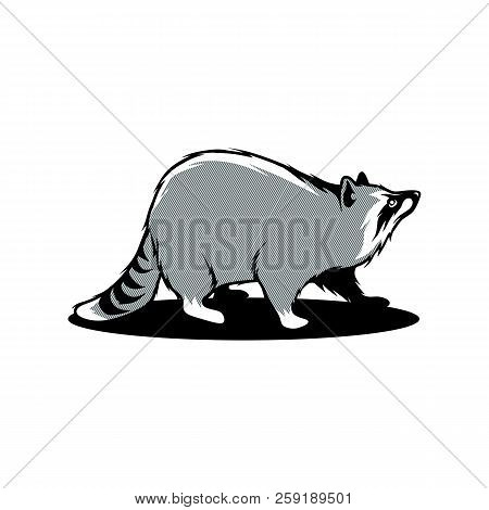 Cute Raccoon, Cartoon Character, Flat Design. Animals, Nature, Zoo. Vector Illustration