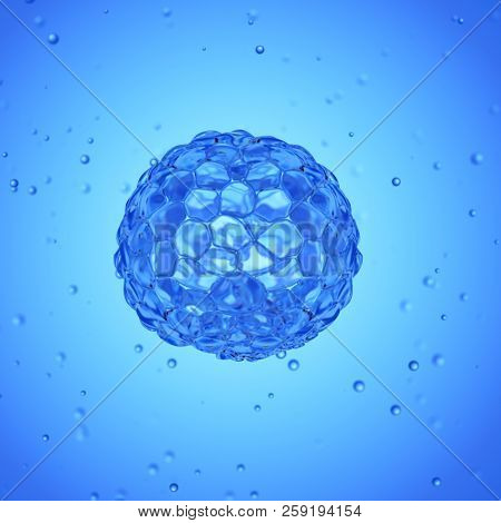 3d rendered medically accurate illustration of a blastocyst