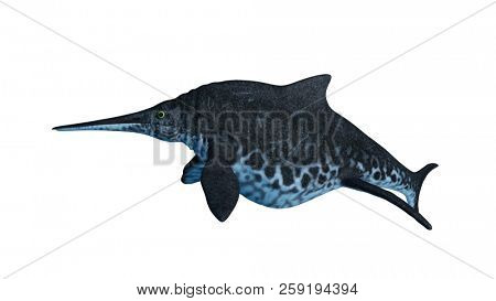 3d rendered illustration of a Shonisaurus