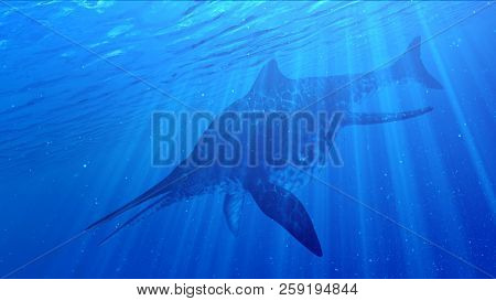 3d rendered illustration of a Shonisaurus