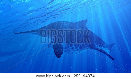 3d rendered illustration of a Shonisaurus