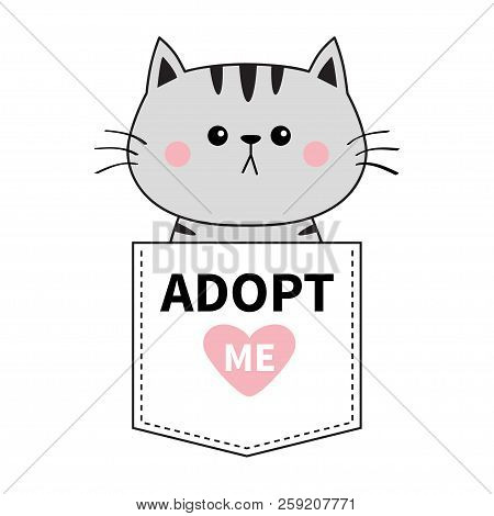Graycat Sitting In The Pocket. Adopt Me. Pink Heart. Cute Cartoon Animals. Kitten Kitty Character. D