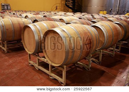 botti di vino all'interno di una cantina moderna