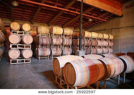 botti di vini all'interno di una cantina moderna
