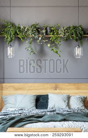 Lamps And Plants Above Wooden Bed With Green Blanket In Grey Bedroom Interior. Real Photo