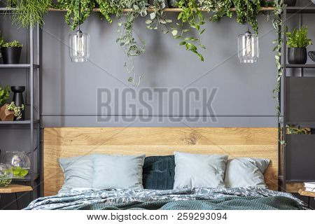 Grey Pillows On Bed With Wooden Headboard In Bedroom Interior With Plants And Lamps. Real Photo