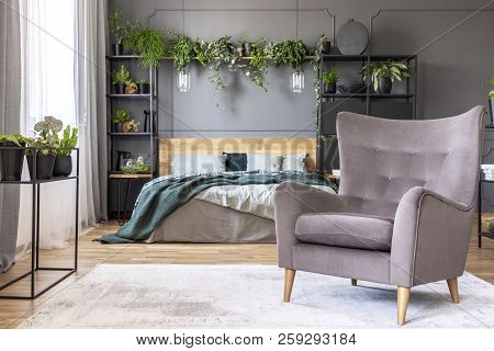 Comfy Armchair In Front Of A Double Bed In A Grey Bedroom Interior Decorated With Plants