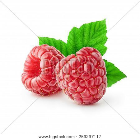 Isolated Raspberry. Two Fresh Raspberries With Leaves Isolated On White Background