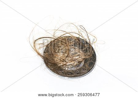 Hair Loss On Washbasin. Long Wet Brown Hair On White Basin In The Bathroom. Healthcare Concept