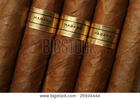 Havana cigars texture