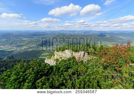 The Forest In Little Rozsutec Hill. National Park Mala Fatra, Slovakia. Day Foto.