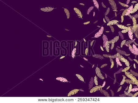 Feather Ethnic Background Vector Print.  Weightless Background With Pink Gold Plumelet. Flying Feath