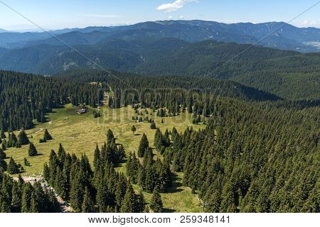 Summer Landscape Of Rhodope Mountains From Snezhanka Tower Near Ski Resort Pamporovo, Smolyan Region