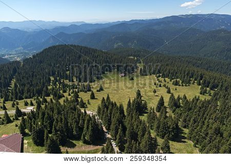 Summer Landscape Of Rhodope Mountains From Snezhanka Tower Near Ski Resort Pamporovo, Smolyan Region