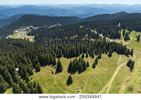 Summer Landscape Of Rhodope Mountains From Snezhanka Tower Near Ski Resort Pamporovo, Smolyan Region