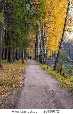 Autumn Walkpath Along The Pond Yellow Leaves