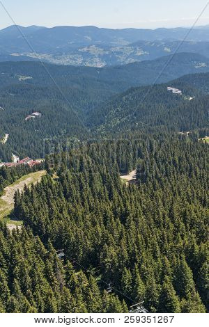 Summer Landscape Of Rhodope Mountains From Snezhanka Tower Near Ski Resort Pamporovo, Smolyan Region