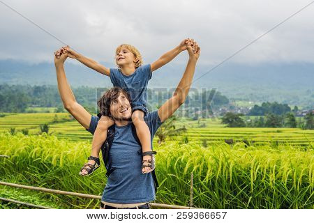Dad And Son Travelers On Beautiful Jatiluwih Rice Terraces Against The Background Of Famous Volcanoe