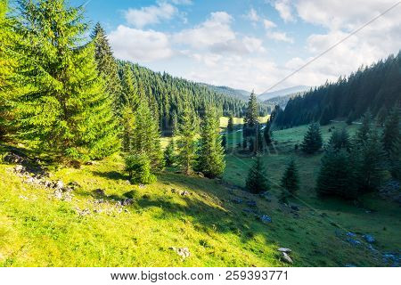 Lovely Valley With Spruce Forest. Wonderful Landscape Of Apuseni Mountains In Autumn. Beautiful Clou