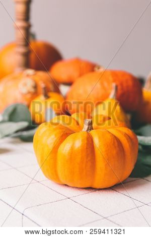 Orange Pumpkins On White Table In Cafe