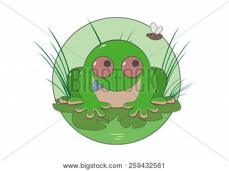 Cheerful Green Toad In A Swamp On The Grass