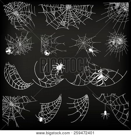 Halloween Monochrome Spider Web And Spiders Isolated On Black Background. Hector Venom Cobweb Set. V