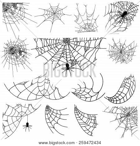 Vector Illustration Halloween Spider Web Isolated On White Background. Hector Venom Cobweb Set. Hall