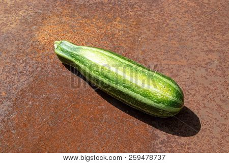 Raw Zucchini From New Harvest On Rusty Melallic Surface Background Sunshine