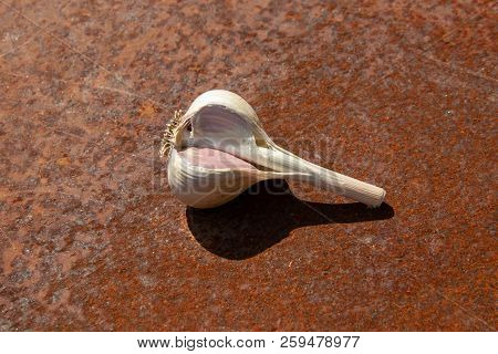 Cloves Of Garlic From New Harvest On Rusty Melallic Surface Background Center