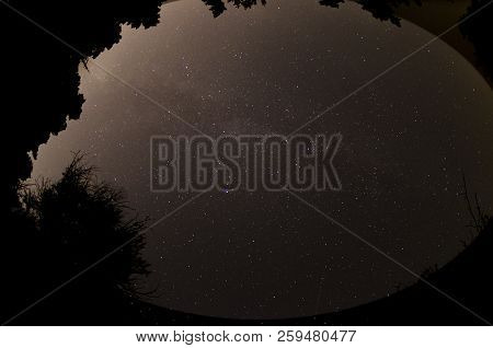 Milkyway Constralations Forest Athens Greece Parnitha Mountain