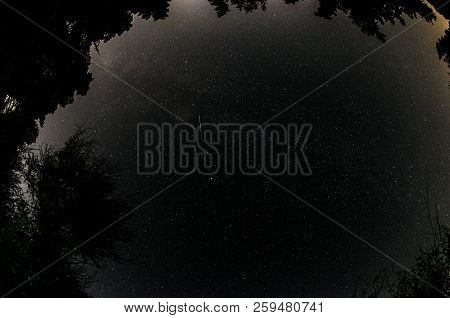 Milkyway Constralations Forest Athens Greece Parnitha Mountain