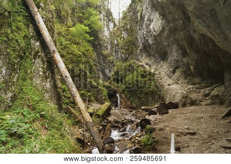 Seven Stairs Canyon (canionul Sapte Scari), Romania, Transylvania, Brasov, The Great Piatra Mountain