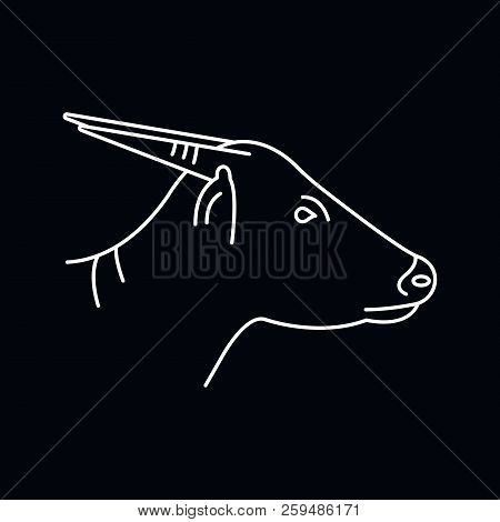 Anoa Icon. Outline Illustration Of Anoa Vector Icon For Web And Advertising Isolated On Black Backgr