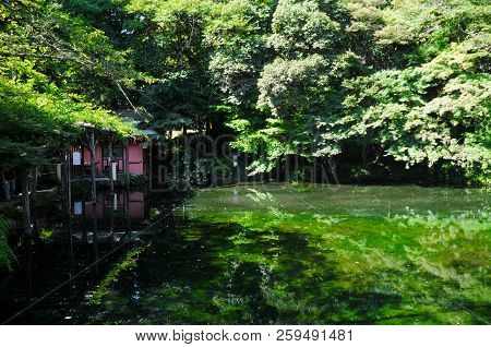 Pond Of The Holy Water From Mt. Fuji At The Fuji Hongu Sengen Taisha Shrine In Shizuoka, Japan. This