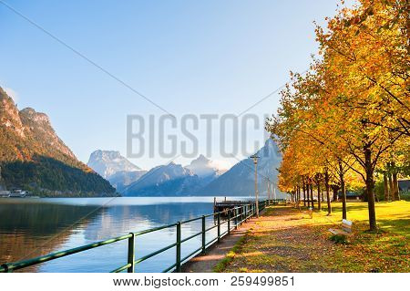 Yellow Autumn Trees On The Shore Of Traunsee Lake. Austrian Alps, Europe. Autumn Landscape