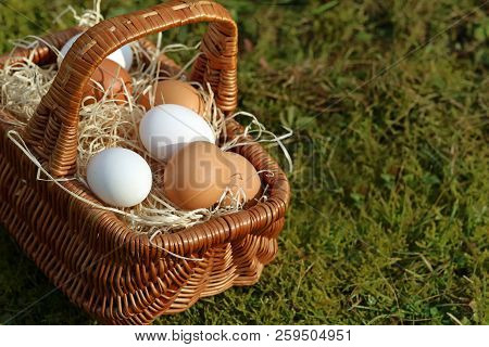 Basket Of Eggs In The Moss, Close Up
