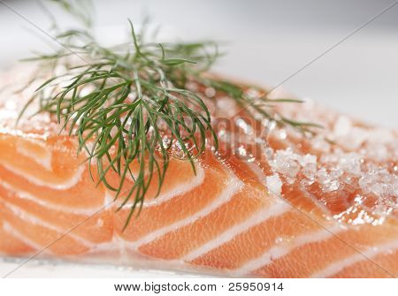 Azúcar y sal salmón curado con una hoja de eneldo
