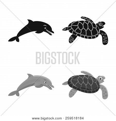 Vector Design Of Sea And Animal Icon. Collection Of Sea And Marine Stock Vector Illustration.