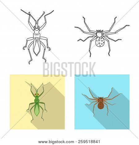 Vector Illustration Of Insect And Fly Icon. Collection Of Insect And Element Vector Icon For Stock.