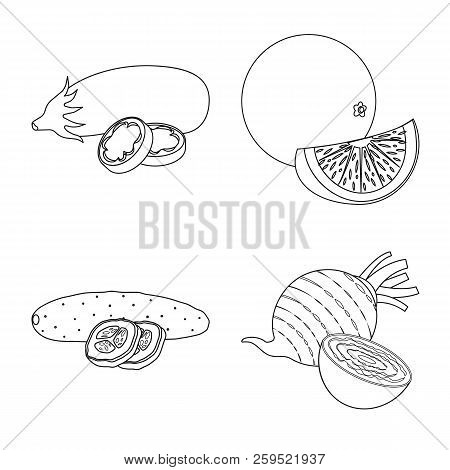 Vector Design Of Vegetable And Fruit Logo. Set Of Vegetable And Vegetarian Vector Icon For Stock.