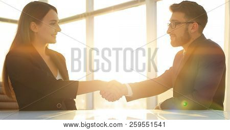 Friendly smiling business people  handshaking after pleasant tal