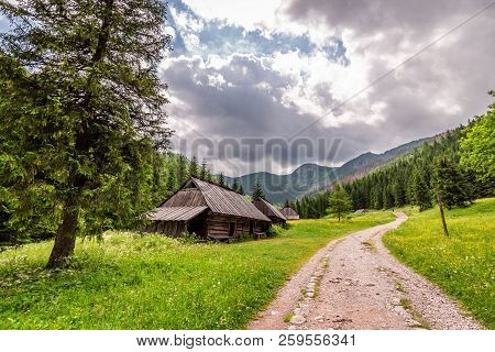 Sunny Footpath In Tatras Mountains With Wooden Cottages, Poland