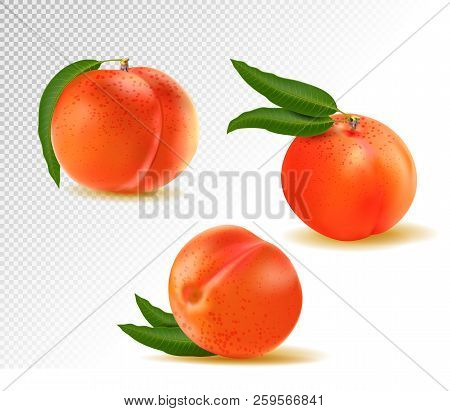 Peach. Sweet Fruit. 3d Vector Icons Set. Realistic Illustration