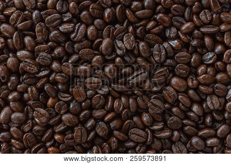 Best Roast Coffee Bean