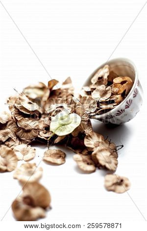 Close Up Of Dried Leaves Of Pipado, Or Pipadi, Or Indian Rosewood Or Pippala Tree Or Sacred Fig Or F