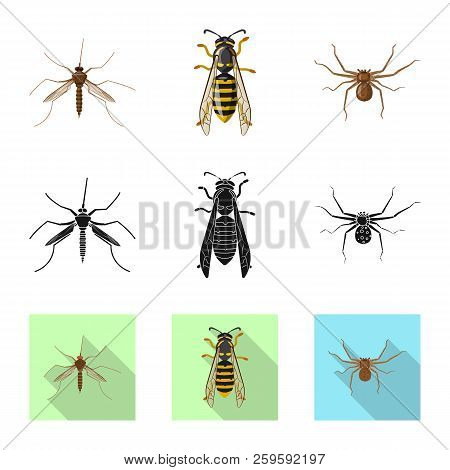 Vector Design Of Insect And Fly Icon. Collection Of Insect And Element Stock Vector Illustration.