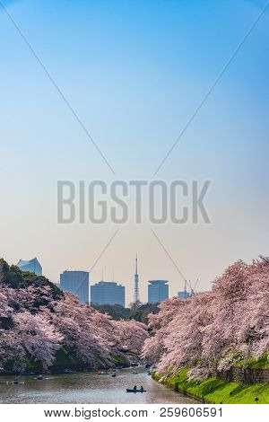 Cherry Blossoms Around Chidorigafuchi Park, Tokyo, Japan.

The Northernmost Part Of Edo Castle Is No