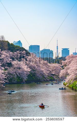 Cherry Blossoms Around Chidorigafuchi Park, Tokyo, Japan.

The Northernmost Part Of Edo Castle Is No