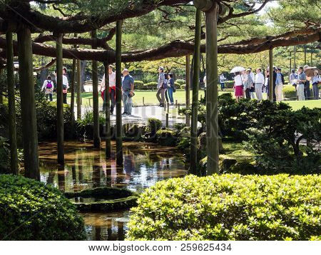 Kanazawa, Japan - September 28, 2015: Big Pine Tree With Branch Support In Kenroku-en Garden